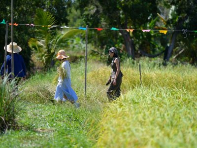 SS Rice News Convention 2025, Pattaya - Thailand